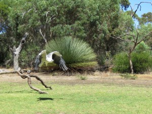 Seeadler fliegt